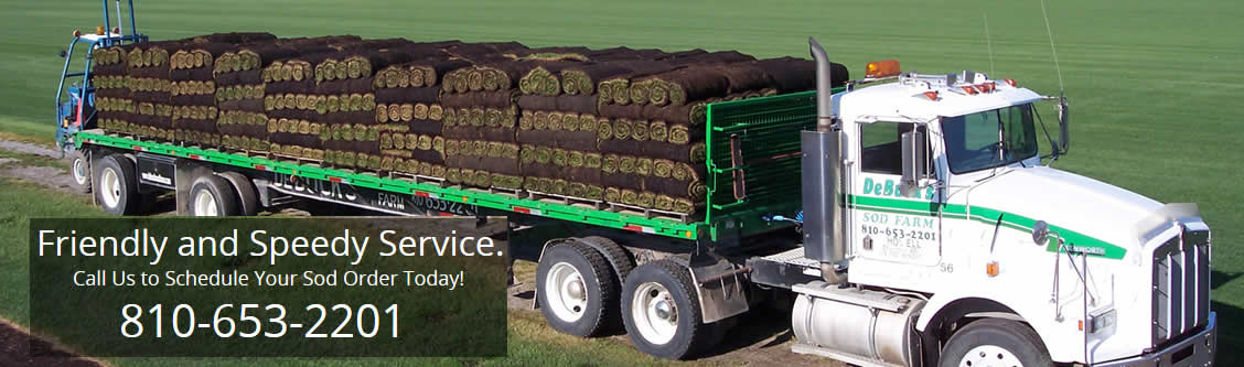 Michigan Sod Farm Sod Delivery